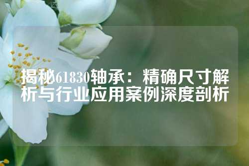 揭秘61830轴承：精确尺寸解析与行业应用案例深度剖析