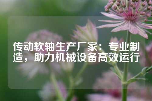 传动软轴生产厂家：专业制造，助力机械设备高效运行