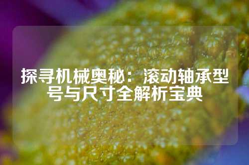 探寻机械奥秘：滚动轴承型号与尺寸全解析宝典