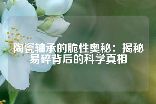 陶瓷轴承的脆性奥秘：揭秘易碎背后的科学真相