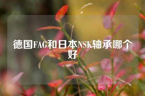 德国FAG和日本NSK轴承哪个好