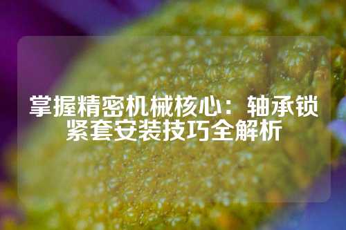 掌握精密机械核心：轴承锁紧套安装技巧全解析