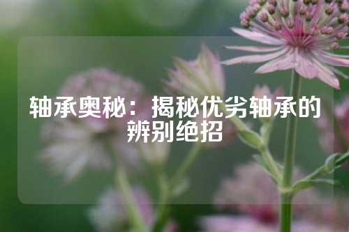 轴承奥秘：揭秘优劣轴承的辨别绝招