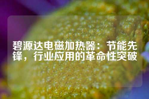 碧源达电磁加热器：节能先锋，行业应用的革命性突破