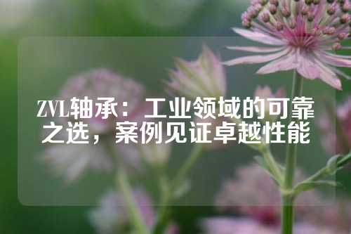 ZVL轴承：工业领域的可靠之选，案例见证卓越性能