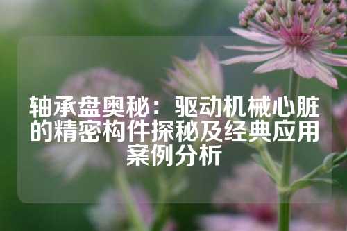 轴承盘奥秘：驱动机械心脏的精密构件探秘及经典应用案例分析