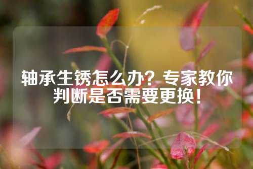 轴承生锈怎么办？专家教你判断是否需要更换！