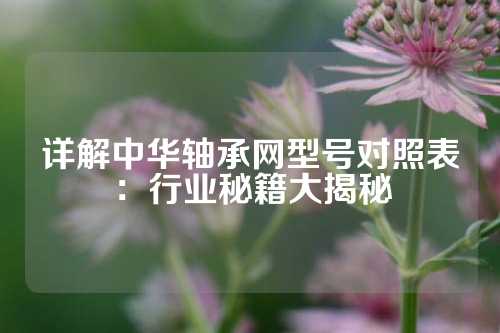 详解中华轴承网型号对照表：行业秘籍大揭秘