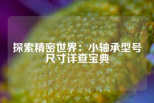 探索精密世界：小轴承型号尺寸详查宝典