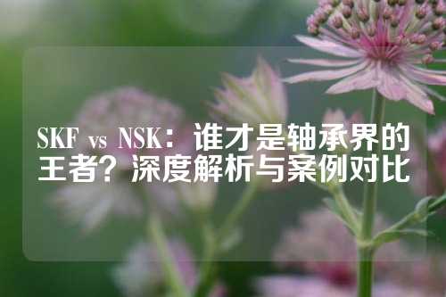 SKF vs NSK：谁才是轴承界的王者？深度解析与案例对比