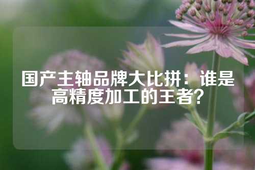 国产主轴品牌大比拼：谁是高精度加工的王者？