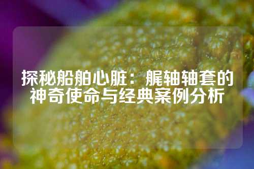 探秘船舶心脏：艉轴轴套的神奇使命与经典案例分析