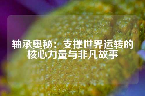 轴承奥秘：支撑世界运转的核心力量与非凡故事