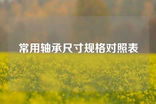 常用轴承尺寸规格对照表