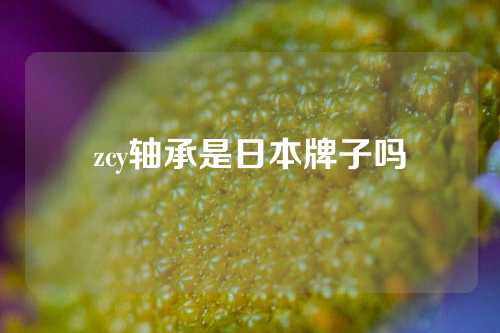 zcy轴承是日本牌子吗