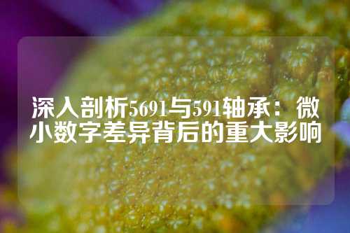 深入剖析5691与591轴承：微小数字差异背后的重大影响