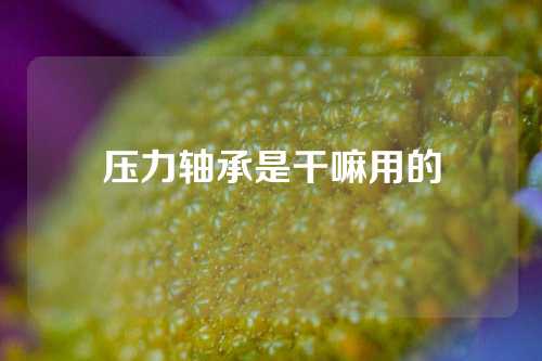 压力轴承是干嘛用的