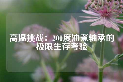 高温挑战：200度油煮轴承的极限生存考验