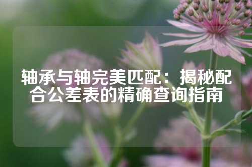 轴承与轴完美匹配：揭秘配合公差表的精确查询指南