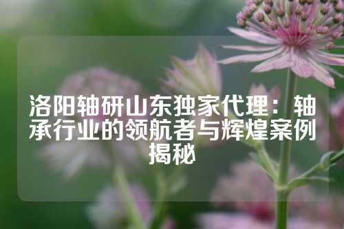 洛阳轴研山东独家代理：轴承行业的领航者与辉煌案例揭秘