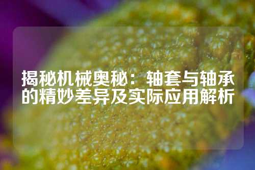 揭秘机械奥秘：轴套与轴承的精妙差异及实际应用解析