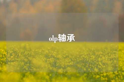 olp轴承