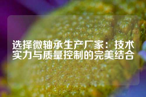 选择微轴承生产厂家：技术实力与质量控制的完美结合