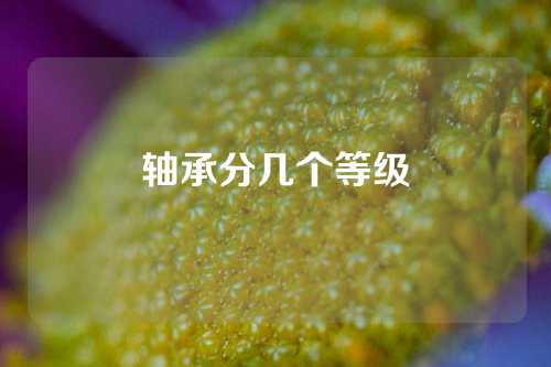 轴承分几个等级