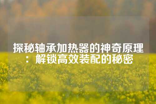 探秘轴承加热器的神奇原理：解锁高效装配的秘密