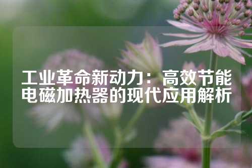 工业革命新动力：高效节能电磁加热器的现代应用解析