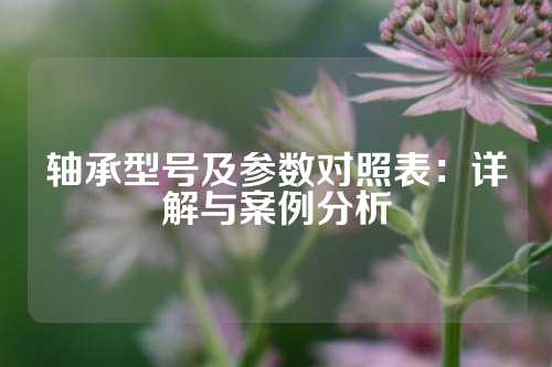 轴承型号及参数对照表：详解与案例分析