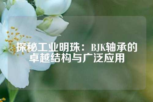 探秘工业明珠：BJK轴承的卓越结构与广泛应用