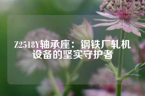 Z2518Y轴承座：钢铁厂轧机设备的坚实守护者