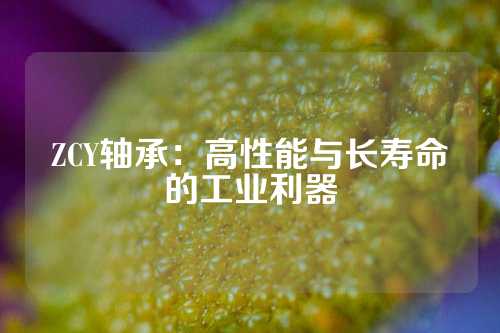 ZCY轴承：高性能与长寿命的工业利器