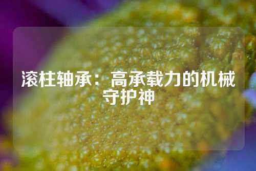 滚柱轴承：高承载力的机械守护神