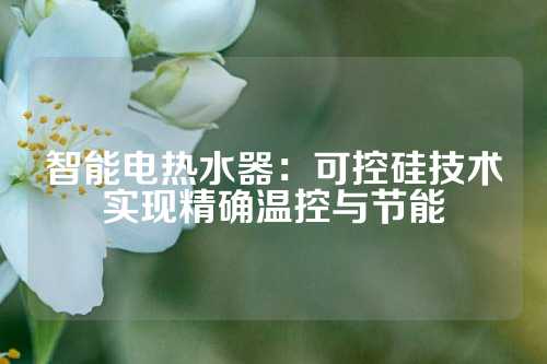 智能电热水器：可控硅技术实现精确温控与节能