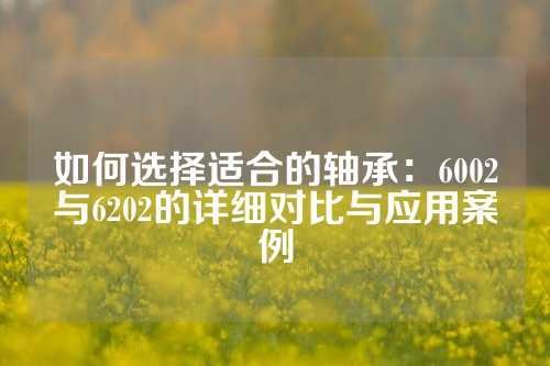 如何选择适合的轴承：6002与6202的详细对比与应用案例