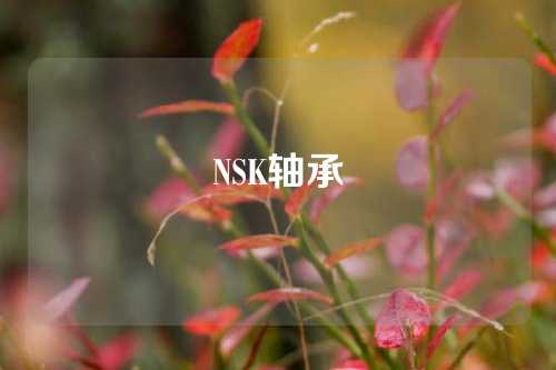 NSK轴承