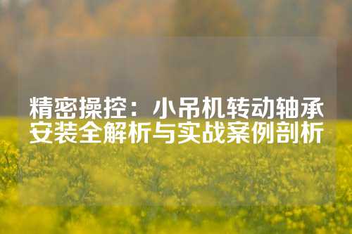 精密操控：小吊机转动轴承安装全解析与实战案例剖析