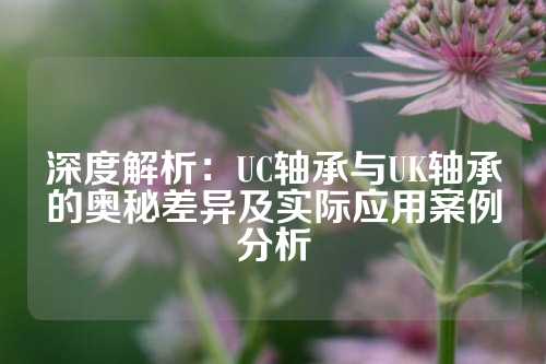 深度解析：UC轴承与UK轴承的奥秘差异及实际应用案例分析