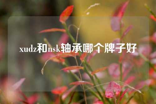 xudz和nsk轴承哪个牌子好