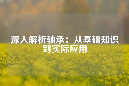 深入解析轴承：从基础知识到实际应用