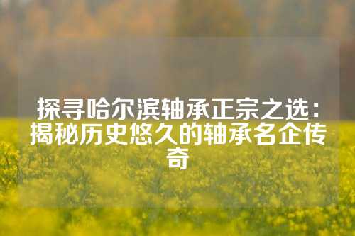 探寻哈尔滨轴承正宗之选：揭秘历史悠久的轴承名企传奇