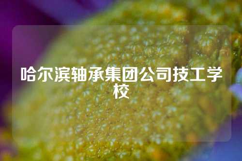 哈尔滨轴承集团公司技工学校