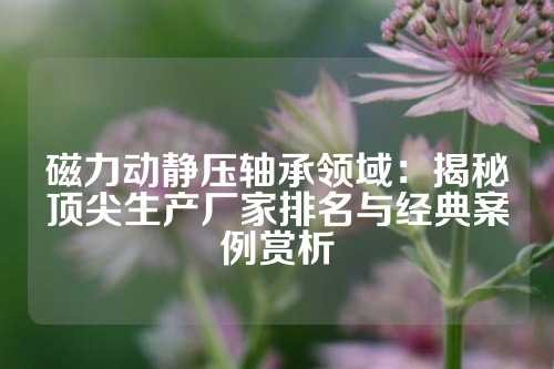 磁力动静压轴承领域：揭秘顶尖生产厂家排名与经典案例赏析