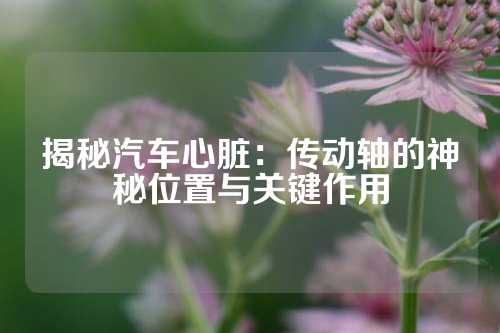 揭秘汽车心脏：传动轴的神秘位置与关键作用