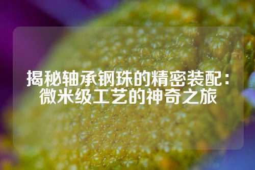 揭秘轴承钢珠的精密装配：微米级工艺的神奇之旅