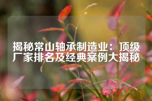 揭秘常山轴承制造业：顶级厂家排名及经典案例大揭秘