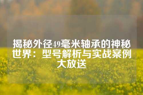 揭秘外径49毫米轴承的神秘世界：型号解析与实战案例大放送