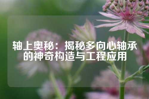 轴上奥秘：揭秘多向心轴承的神奇构造与工程应用